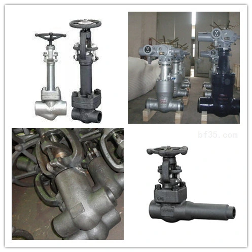 High Pressure Stainless Steel/Carbon Steel/A105/FL2/F11/F22/F5/F304/F316/F321 Flange &amp; Thread &amp; Butt Weld &amp; Socket Weld Forged Steel Check Globe Gate Valve