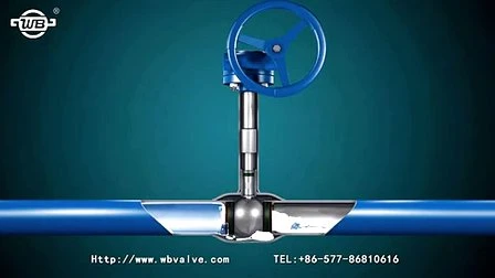 High Pressure Stainless Steel/Carbon Steel/A105/FL2/F11/F22/F5/F304/F316/F321 Flange & Thread & Butt Weld & Socket Weld Forged Steel Check Globe Gate Valve