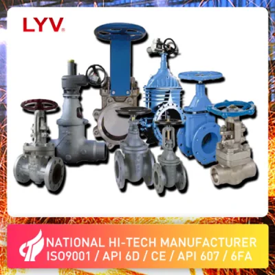 API600 API602 Wcb A105n Lcb Lf2 Casting Steel Forged Steel Stainless Steel Gate Valve