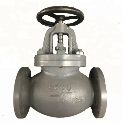 Globe Valve JIS F7311 Cast Steel Marine Valve 5K with High Quality