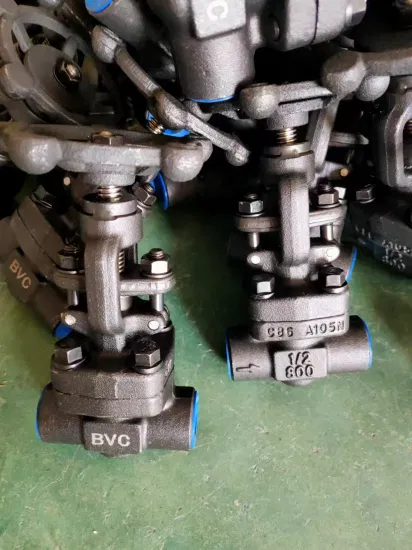 Forged Steel Sw Ends Globe Valve A105 N