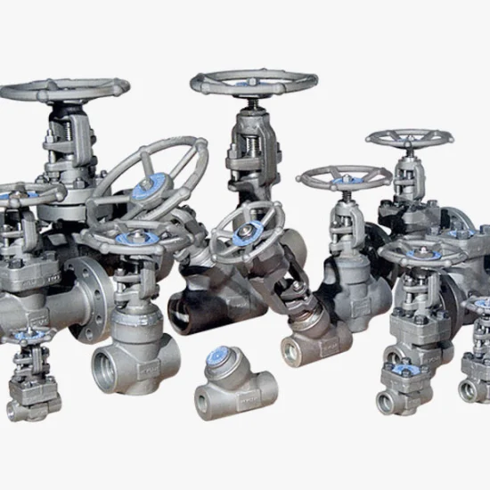 A105 Forged Steel Stainless Steel Cast Iron Sw Bw NPT Thread Globe Valve