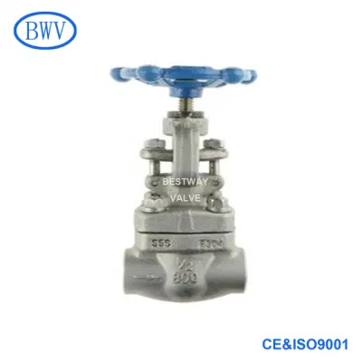 API602 800lb F316L/F304L/F304 Bolted Bonnet NPT Forged Stainless Steel Globe Valve