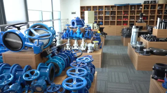 Wholsales CE Certificate Ductile Iron Cast Iron Butterfly Valve Gate Valve Check Valve Y Strainer Factory Price